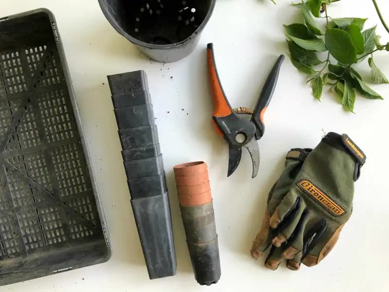 Tesoura de poda, luvas de jardinagem e folhas sobre uma mesa branca